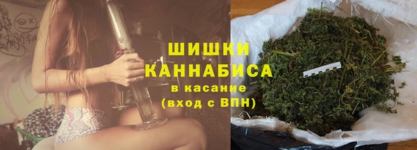 гашик Богданович