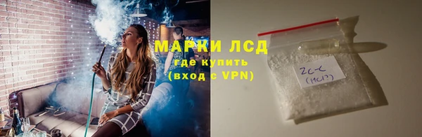 гашик Богданович