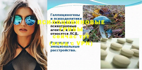 скорость Богородицк