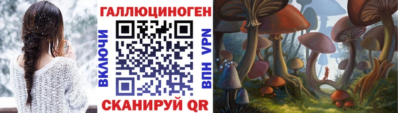 Галлюциногенные грибы GOLDEN TEACHER  где продают   Корсаков 